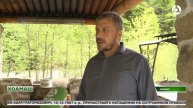 Лоам сала1а хьаяь моттигаш толхаяьй зуламхоша