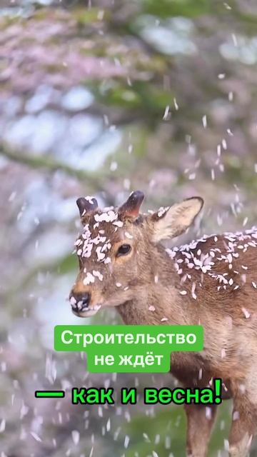 Строительство не ждёт — как и весна!
