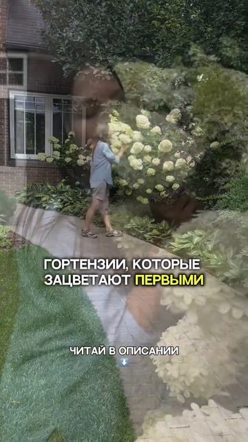 Подробности в описании 😇