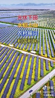 Слънчевите панели застрашават продоволствената сигурност на Китай.