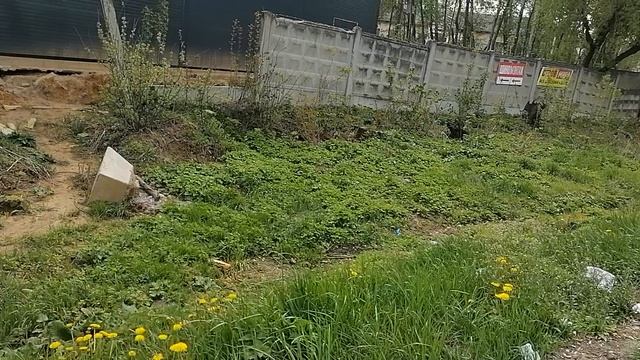 7.05.2025.Усадьба Парк Кино Ляхово. Парк Кошек.Домодедово.Обзор проведённых работ.Трасса Каширского