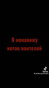 Коты воители