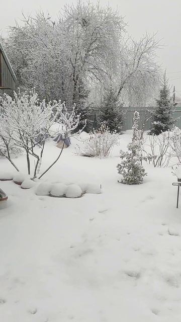 30 декабря, зимняя сказка на Урале😍😍😍