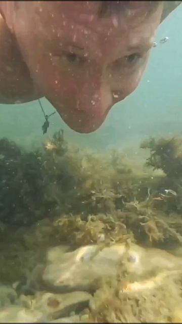 Морское приключение На причале Подводный мир На дне моря Новый пляж #море #пляж #лето