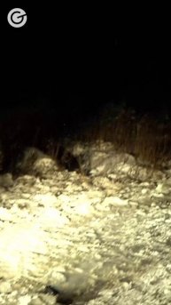 НАБАТ взорвали учебной гранатой РГД-5!