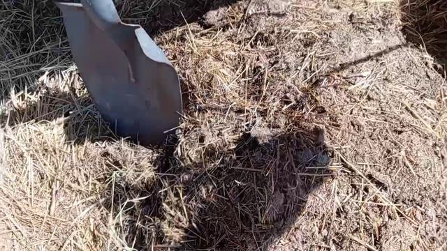 Такие будни.🐐НУ не евро а так.