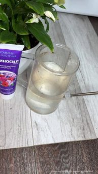 Как заставить цвести спатифиллум, чтоб все завидовали? #удобрение #цветы #подкормка