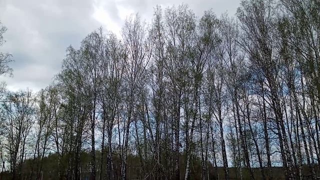 Где-то в России!!!