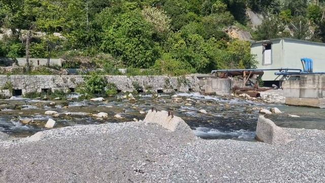 Самая короткая река в мире Репруа (Абхазия)