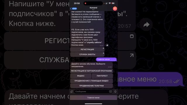 Обзор Telegram-бота, который поможет вам разобраться с работой партнерских программ.