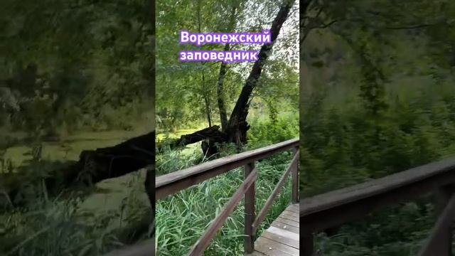Воронежский государственный биометрический заповедн