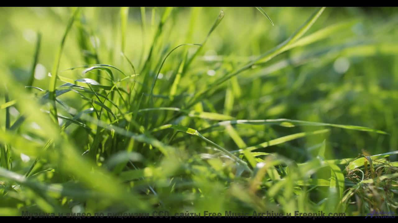 Этот трек сделает отдых незабываемым - Hurry Ellie -- Taylor Poe -- 10 Million Babies