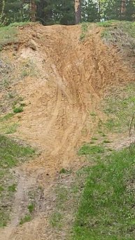 Весенний лес