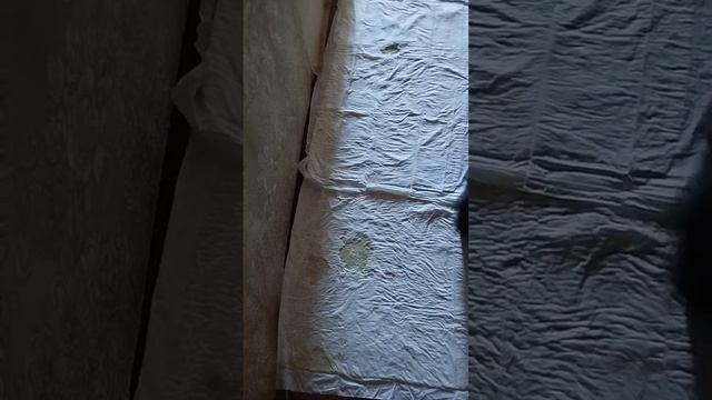 Бусинка ходит на пеленку