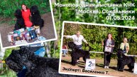 Тайрон на монопородной выставке РЧТ в Сокольниках 01.05.2024. Победитель класса Чемпионов