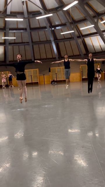 Клип @balletbeautifulart