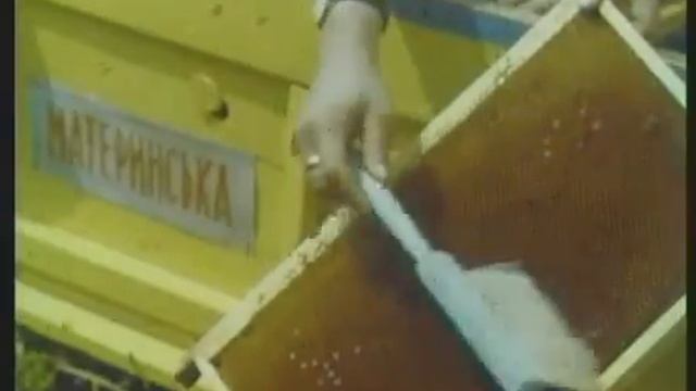 Медовый цветок  СССР 198Х год