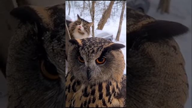 Смешно же!