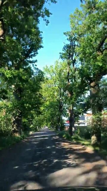 Шатрово