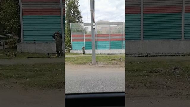 Еду в Химках 6часть.