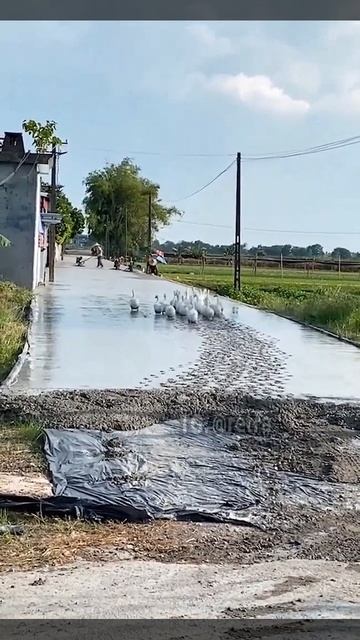 Подпишись, чтобы не потерять!