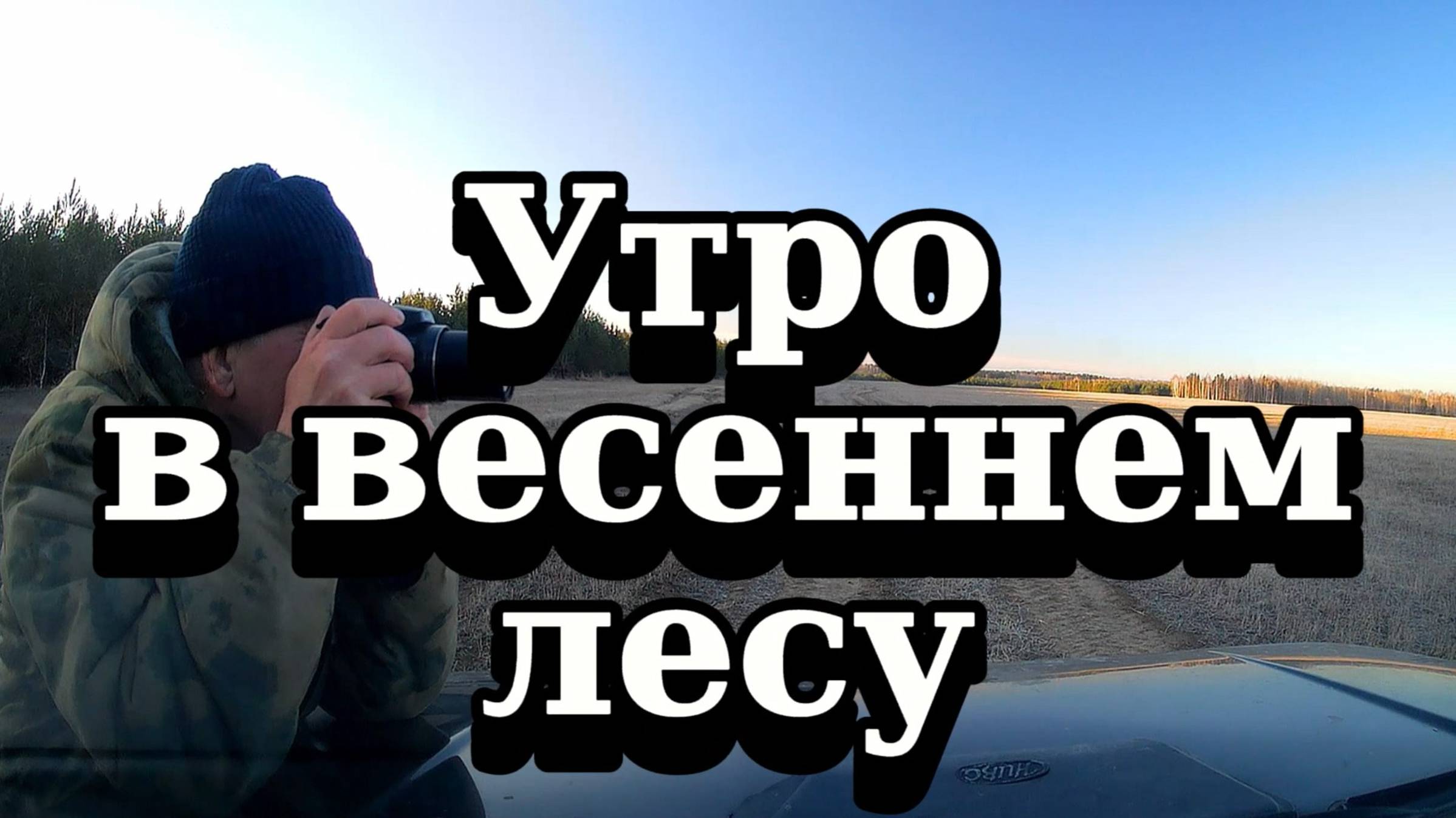 Утро в весеннем лесу