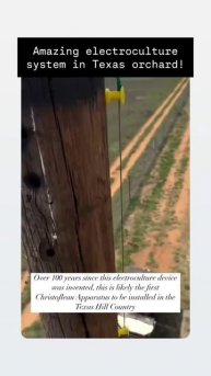 ЕЛЕКТРОКУЛТУРА