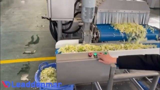 Ленточный конвейер Leaddenmar 2D Conveyor