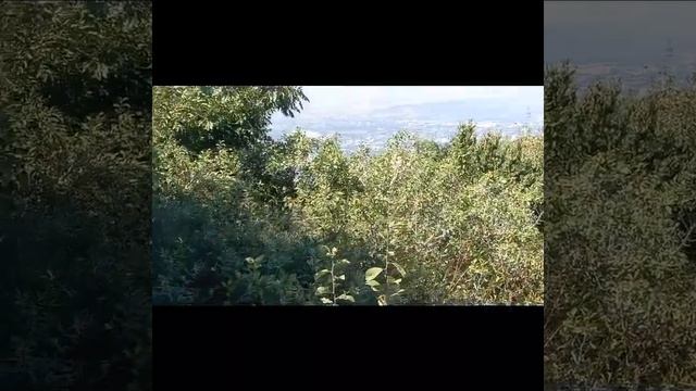 Вид на гору Бештау с горы Машук!