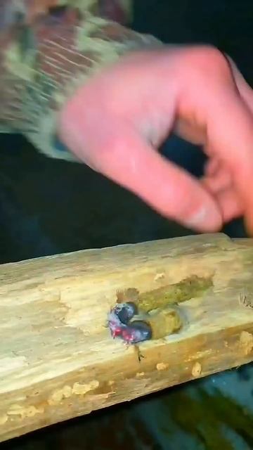 10🔥Как сделать варежки в лесу зимой #выживание #выжива