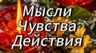 Мысли, чувства, действия.