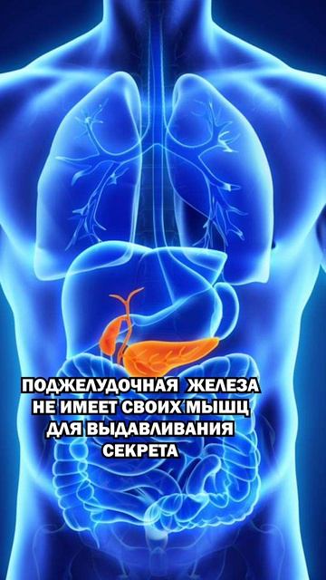 Вредная поза при проблемах с печенью