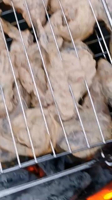Толстолобик на углях и уха из амура! мммм... 🤤вкусняти?