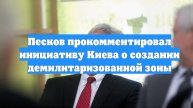 Песков прокомментировал инициативу Киева о создании демилитаризованной зоны