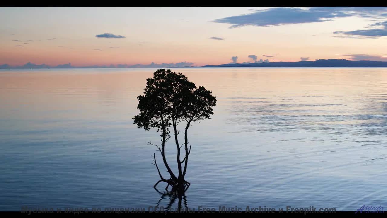 Леса оживают вместе с каждым новым ритмом - Intro -- Holle Mangler -- Tales From A Fairy World (Part