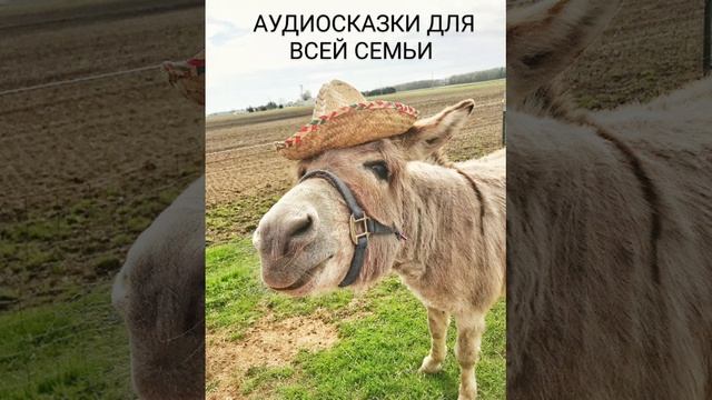 ЗЛОЙ ЧЕЛОВЕК