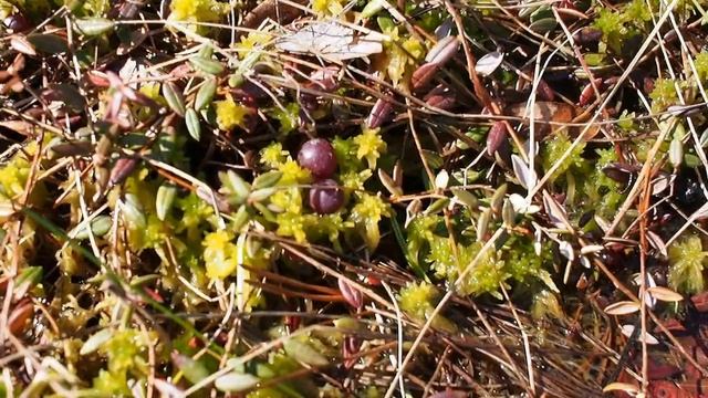 Зарисовочки с моей болтовней