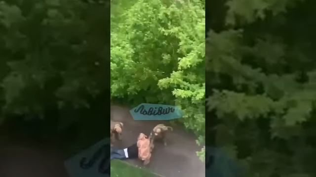 Будни мобилизации на Украине !!!