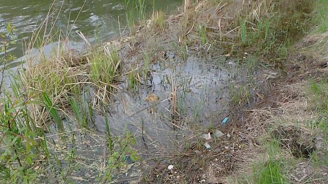 на рыбалке. 2 часть