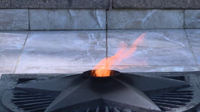 Г.С. Новосельцев День Победы