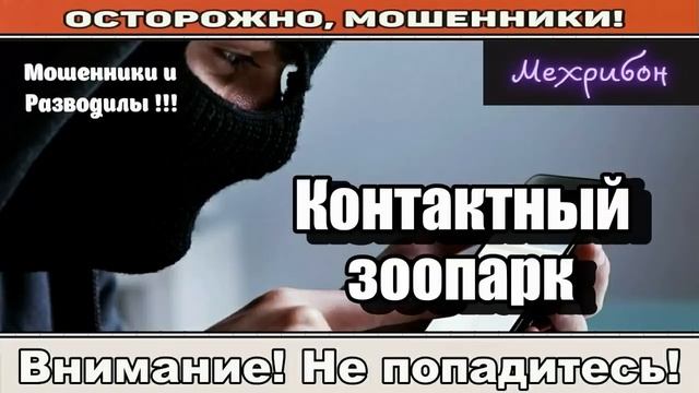 Мошенники звонят по телефону _ День медведя ( сборник ).