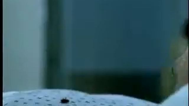 Неверь своим глазам