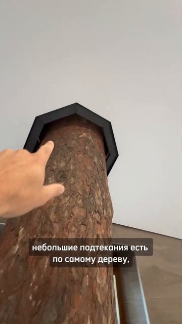 Как обойти дерево при монтаже натяжного потолка #натя?