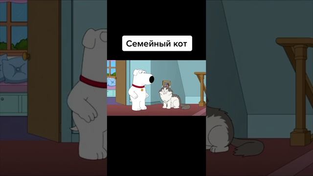 СЕМЕЙНЫЙ КОТ 😅 ГРИФФИНЫ ТИК ТОК - ПРИКОЛЫ ТИК ТОК - МЕМЫ ТИК ТОК - УГАР ТИК ТОК 😂