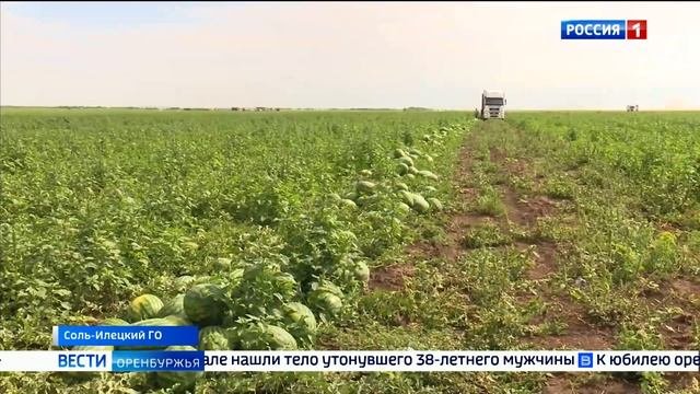 Выпуск от 7 августа 2024 года