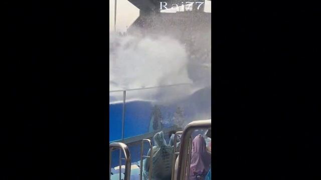 Косатка окатила водой и внесла разнообразие в досуг туристов