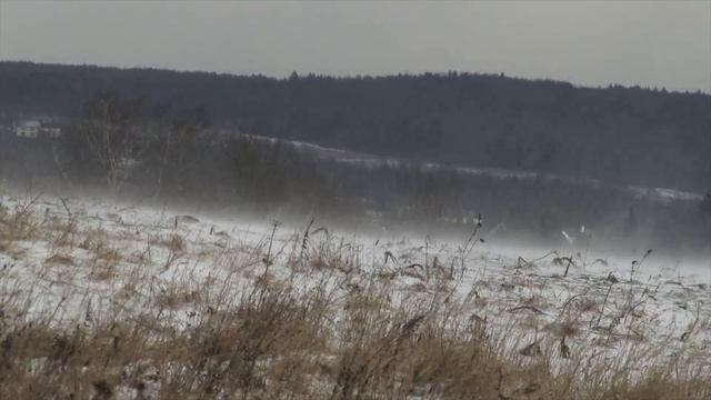 Братские могилы. Киношкола "Киноша"