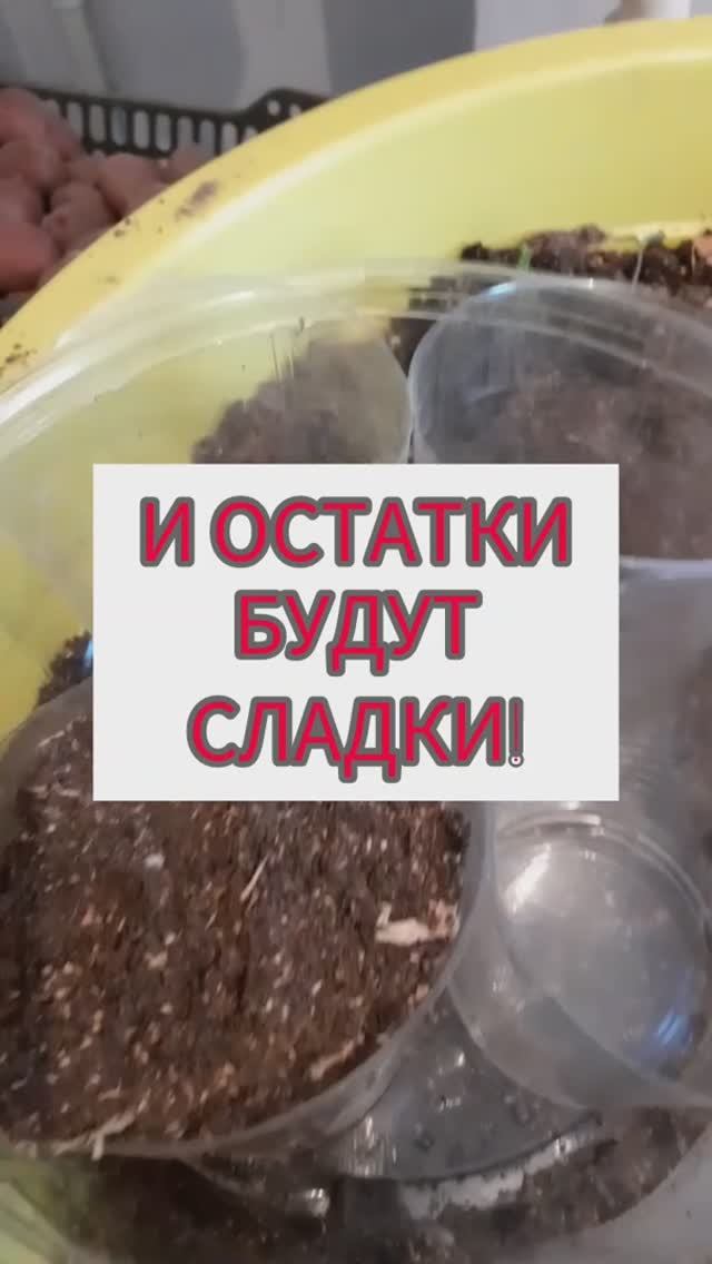 И остатки будут сладки