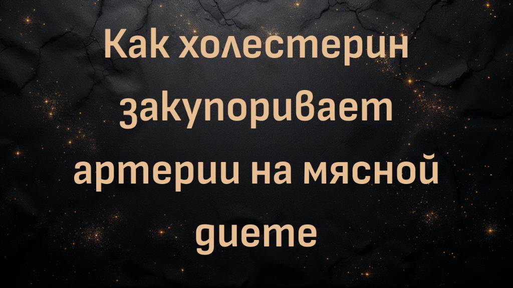 Как холестерин закупоривает артерии на мясной диете (Энди)