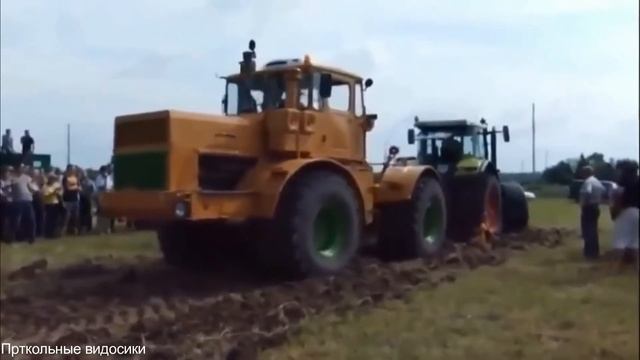 прикольные видосики #2